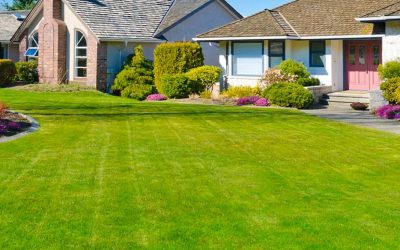 Tony & Joe’s Landscaping Services