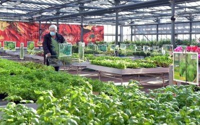 Stone Brook Garden Center & Landscape Supply