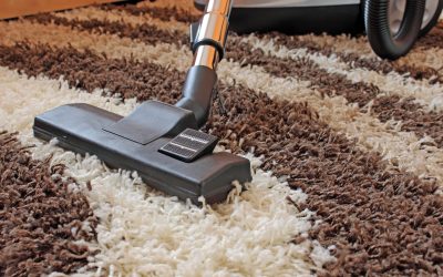 Bio-Steam Carpet Cleaning & Upholstery