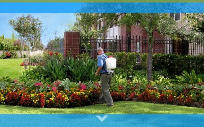 Sea Crest Facilities Services, LLC