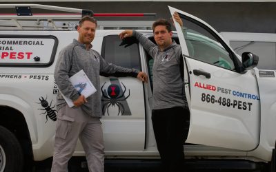 Allied Termite & Pest Control